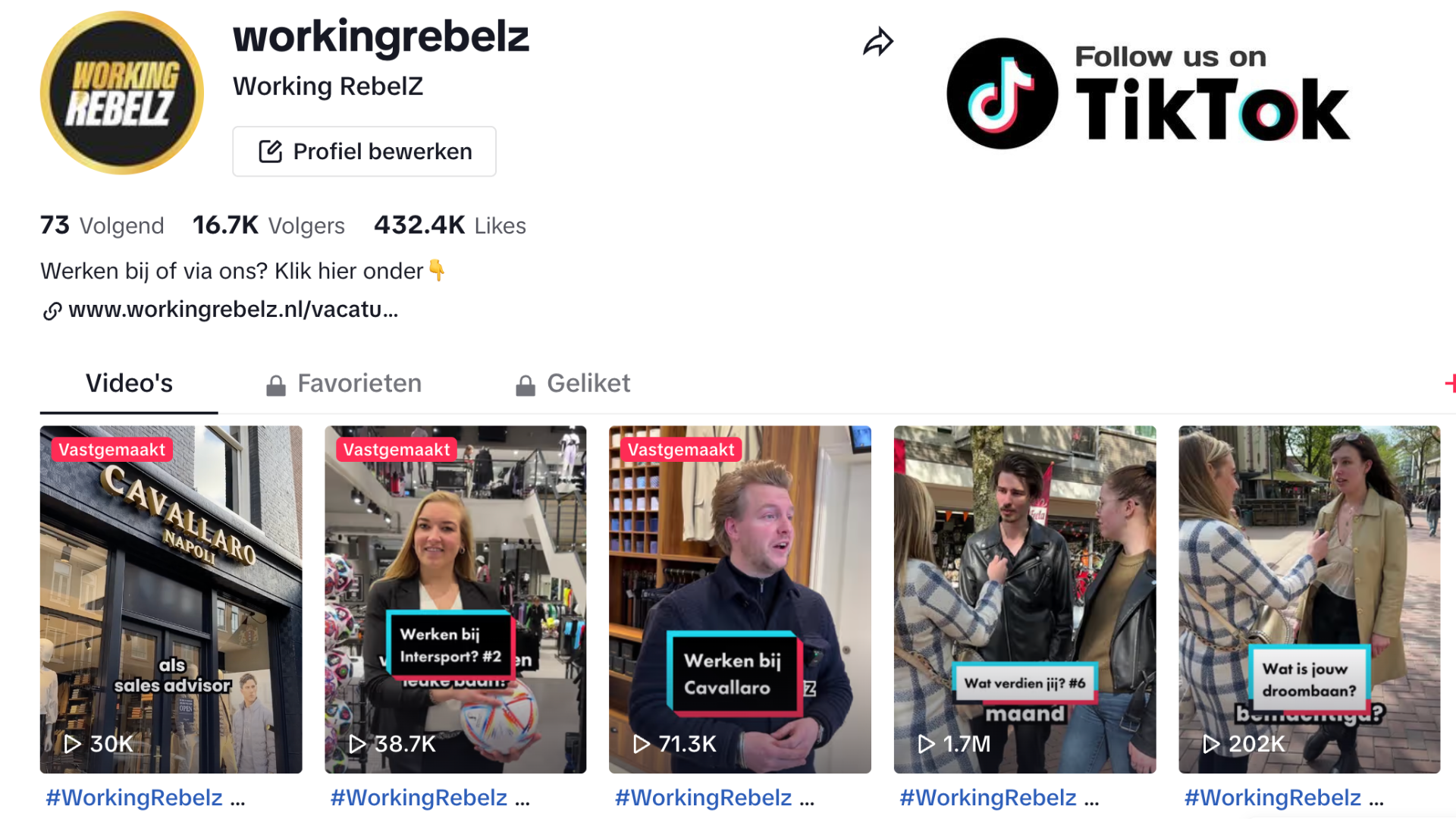 TikTok van Working RebelZ
